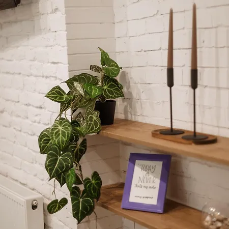 Cozy - Perfect For Couples - 10 Min To Downtown - Parking Львов