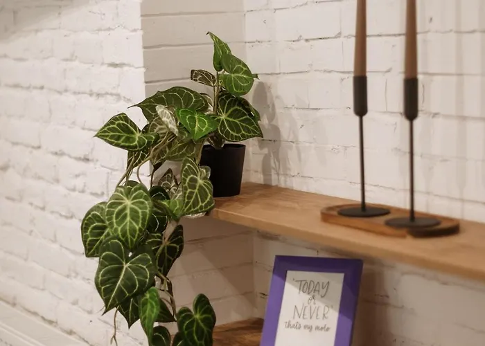 Cozy - Perfect For Couples - 10 Min To Downtown - Parking Leópolis